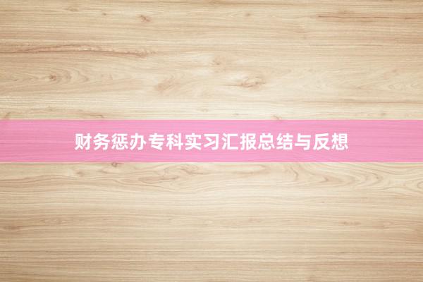 财务惩办专科实习汇报总结与反想